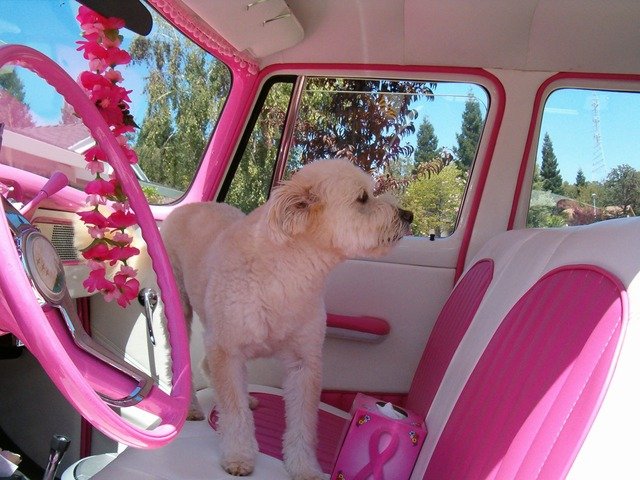 holčičí růžový auto
