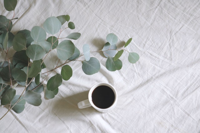 bílý hrnek s kávou vedle rostliny